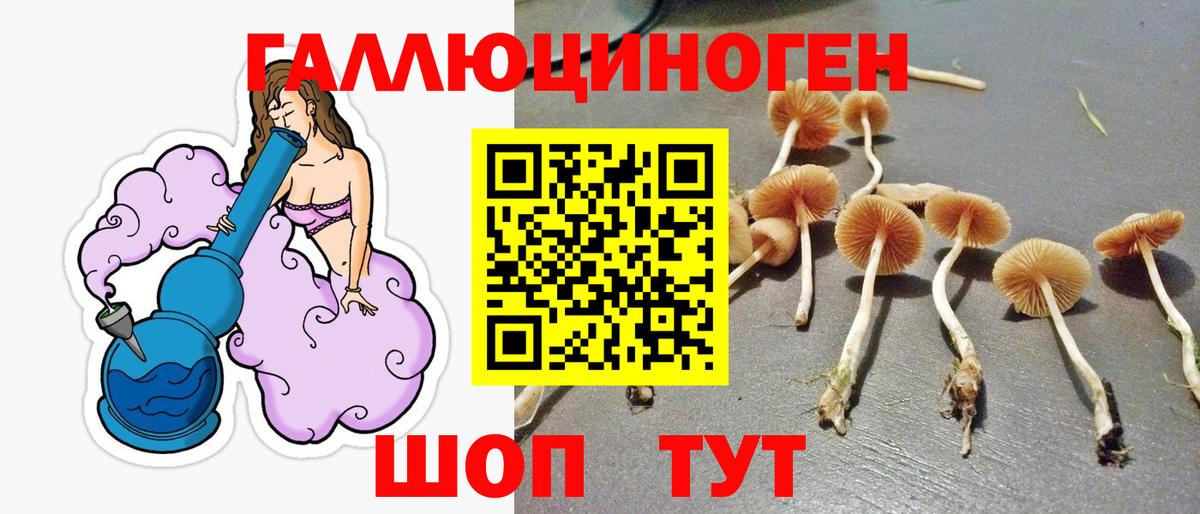 Псилоцибиновые грибы MAGIC MUSHROOMS Белово